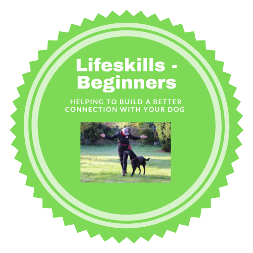 Life Skills - Beginners
