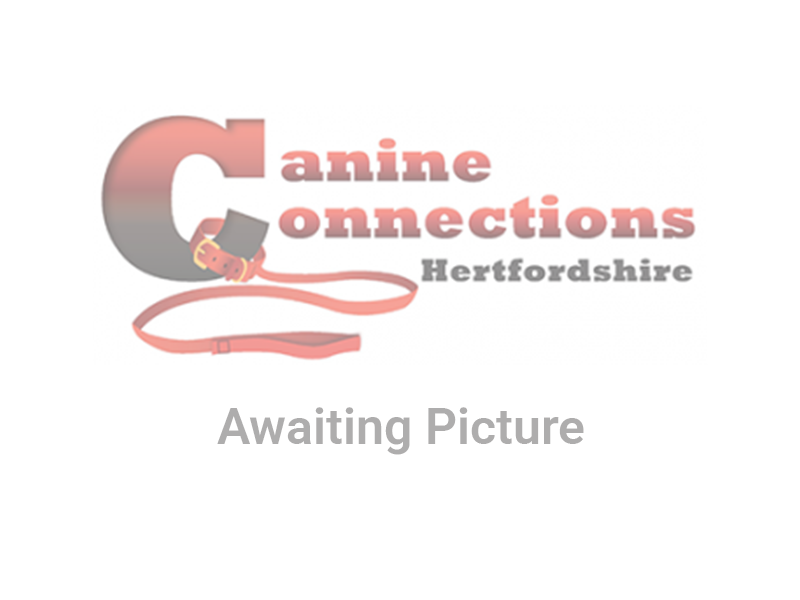 Changing an unwanted dog behaviour