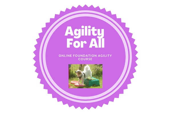 Agility For All