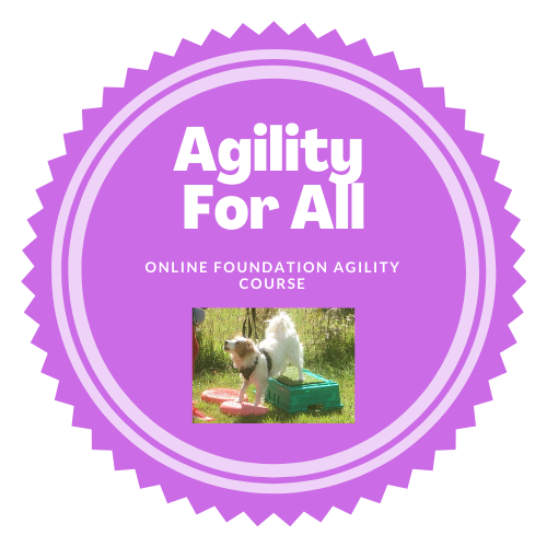 Agility For All