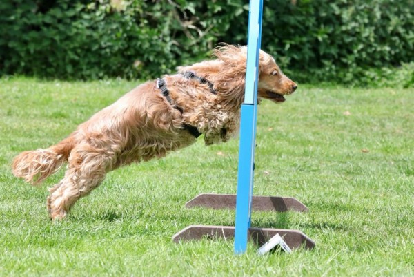 Agility One to One