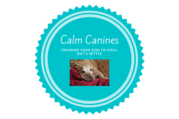 Calm Canines