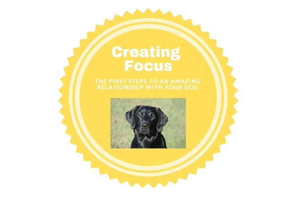 Creating Focus