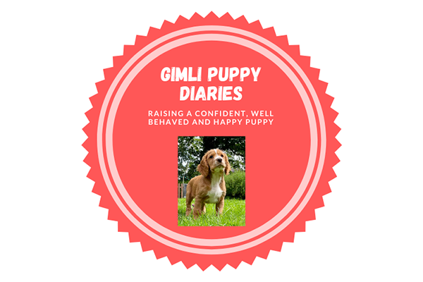 Puppy Diaries