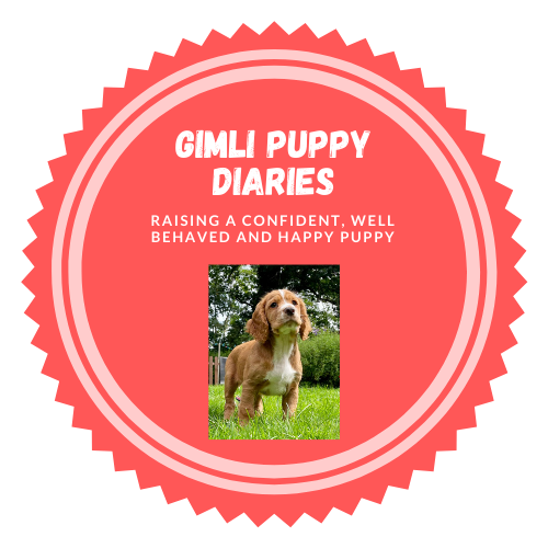 Gimli Puppy Diaries