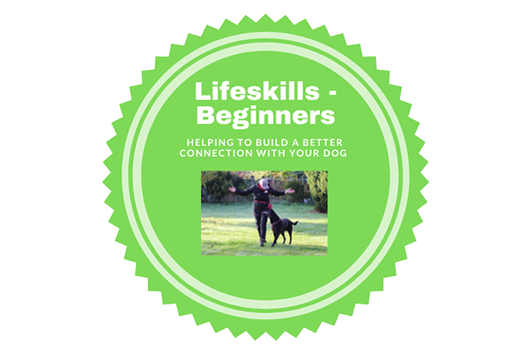 Life Skills - Beginners