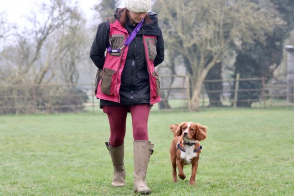 Fun Gundog - Improvers