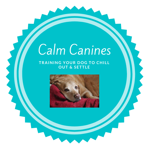 Calm Canines