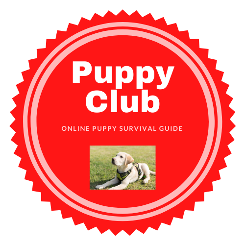 Puppy Club