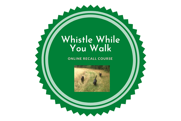 Whistle while you walk